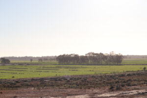 Sign up for Nature Stewards program