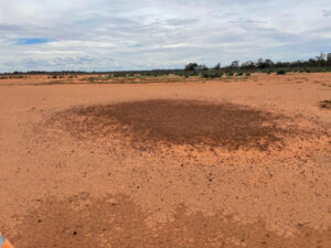 Balranald becomes home to cultural heritage project