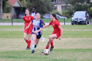 Swans continue to fly high