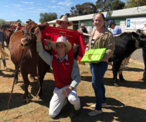 Studs ready to be showed