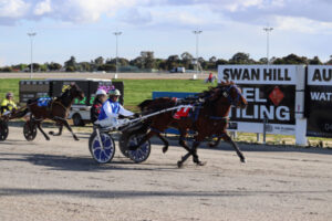 Spoils shared at cup night trots in Swan Hill