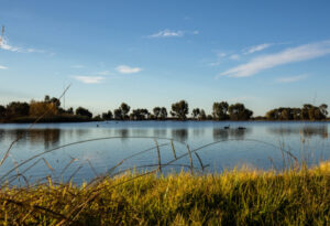 Fishing for tall tales