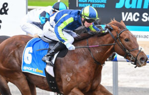 Diva in the gate, cool in the straight