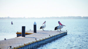 Water level to fall at Lake Boga
