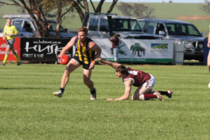 A week to lick their wounds