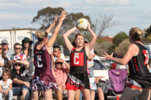 Swans’ song finishes