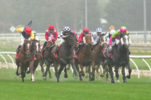 Jye McNeil looking ahead to Hong Kong stint