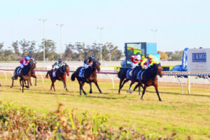 Races a winner for Swan Hill
