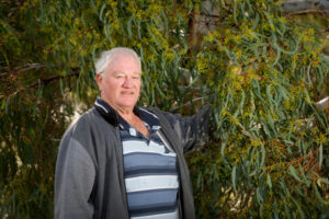 Full lakes fill bees’ needs