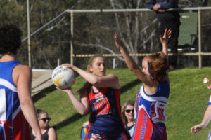 Demons overcome brave ‘Dogs