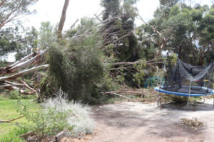 Lake Boga faces aftermath of storm