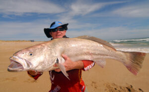 Tagging unlocks mulloway mysteries