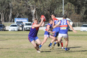 Bulldogs bounce back