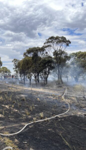 Police investigate fatal crash