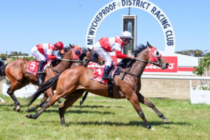 Cup’s return cut short