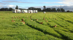 Exhausted farm to close