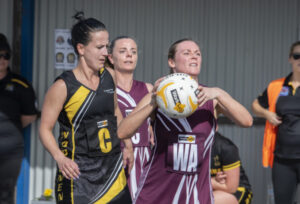 Slick Swans tame Tigers