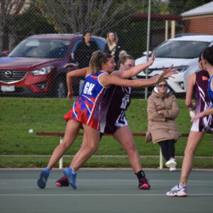 Swans fly high over Dogs