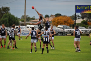 Kerang clip wings of Lake Boga Magpies