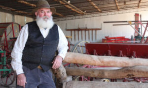 Beard today, gone tomorrow