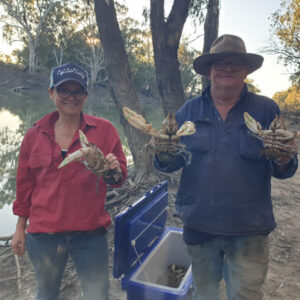 Crays back in our river