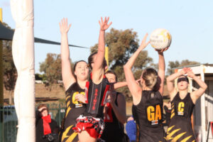 Tigers pay a big price