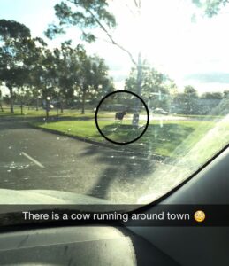 Escapees keep authorities on their toes