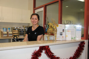 Healthy, festive habits