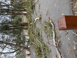 Power outage strikes Murray Downs again