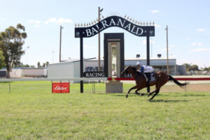 Madison’s walk in the park