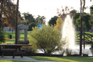 Cooler mornings, average daytime temps