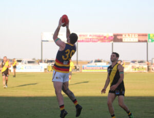 Yellow and black are back