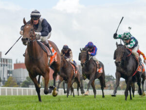 ‘Cunning’ trial, says trainer