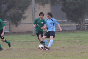 Youthful Swans too strong