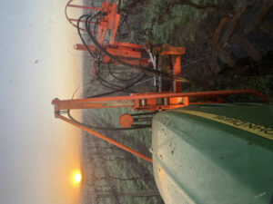 Pruning time on the vines