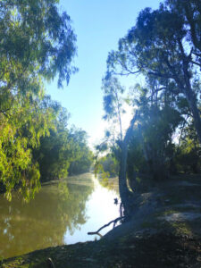 Long lunch on the Edward