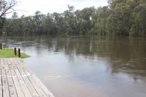 SES calls for calm as Swan Hill readies for flood impact