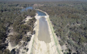 State forests reopen