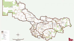 Swan Hill electorate abolished