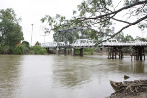 More bridge talk wanted