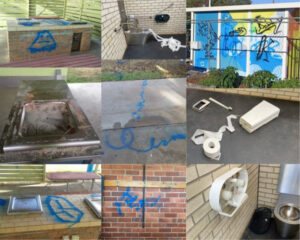 Swan Hill and Lake Boga face new spate of vandalism