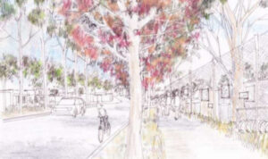 $1.3m project set to begin at Bromley Road