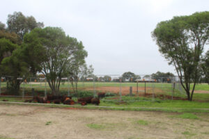 Scouts, band together