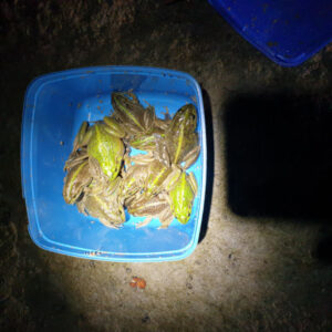 Moulamein Notes with China Gibson April 14