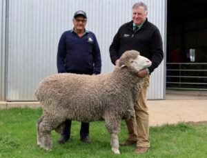 Ram sales out of the gate