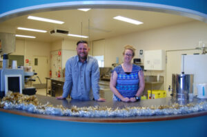 Free lunch for festive cheer