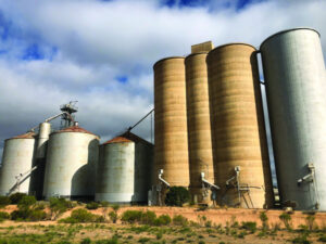 Silo sights happening at Sea Lake