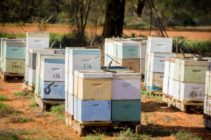 Compensation package for impacted beekeepers