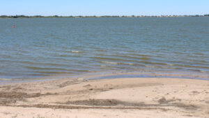 Lake’s blue-green algae alert