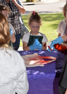 Colour party gets kids involved